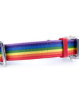 COBRA Halsband Regenbogen