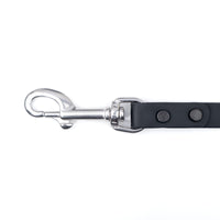 Biothane Leash