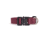 Scout Collar