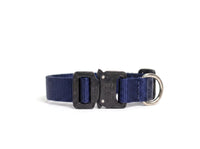 Scout Collar