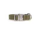 Scout Collar