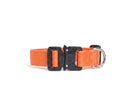 Scout Collar