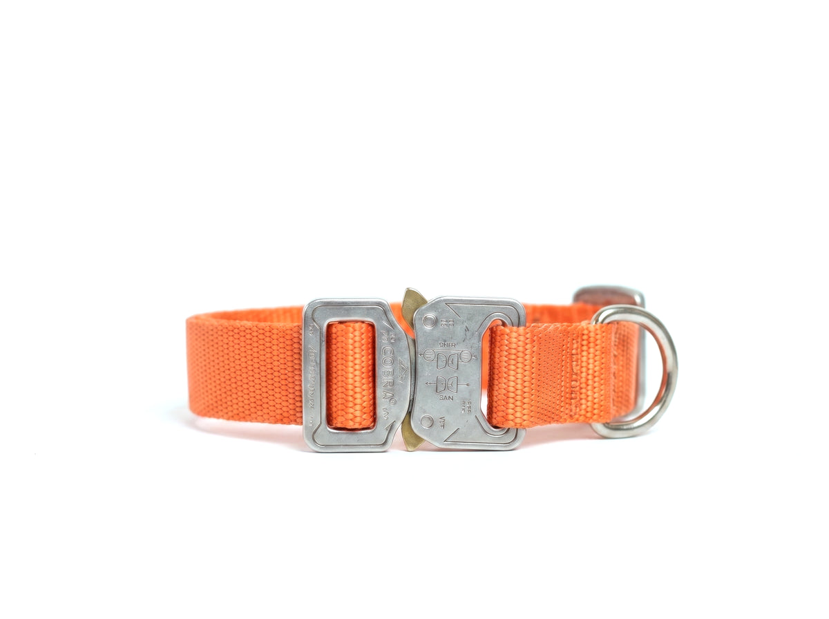 Orange / Polished / No