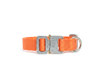 Scout Collar