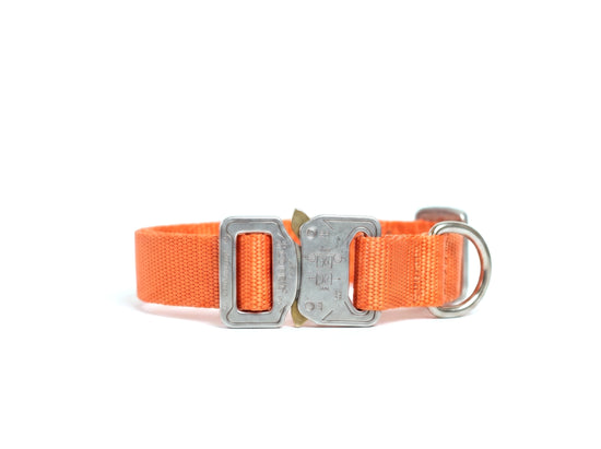 Scout Collar