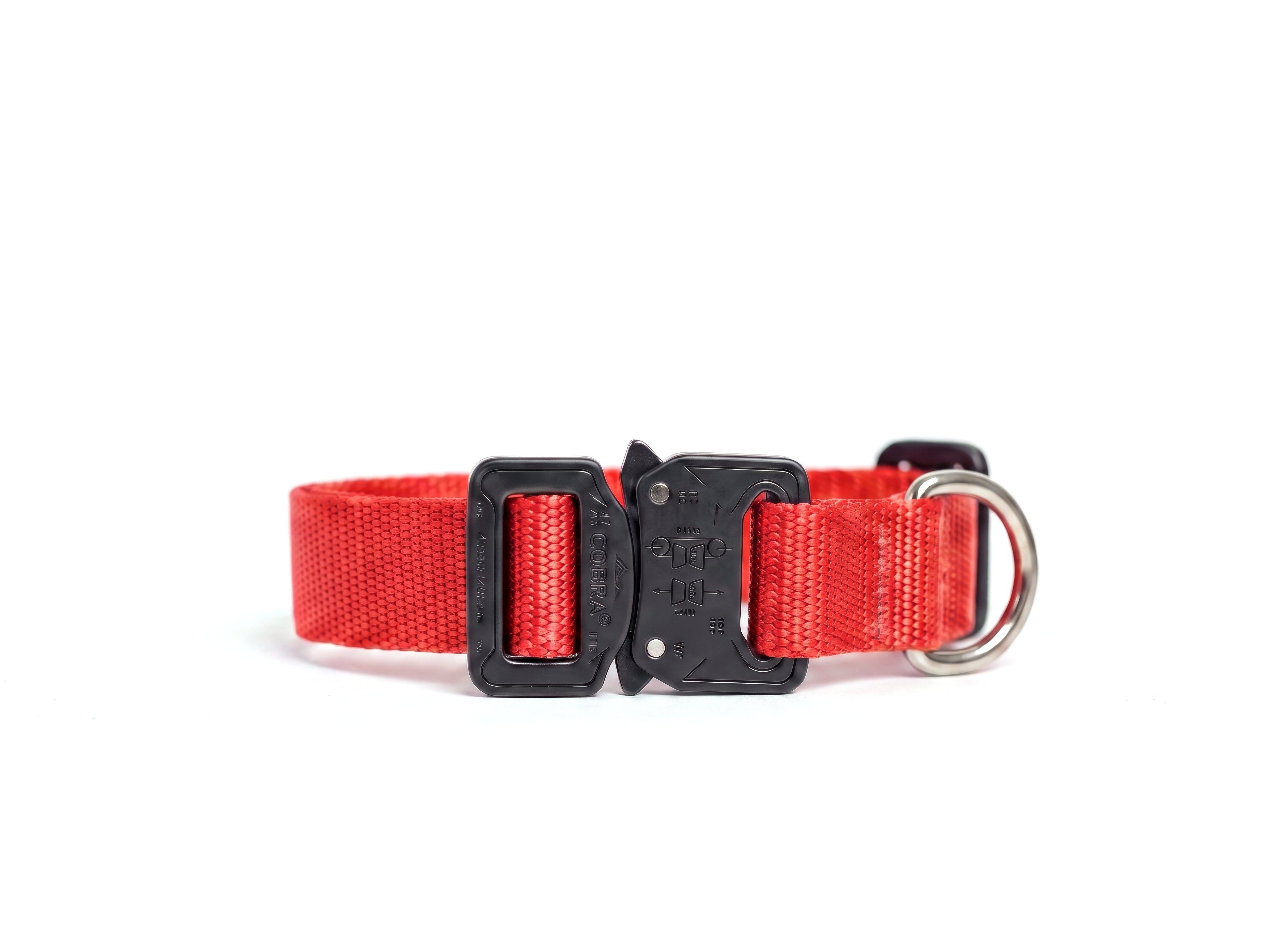 Scout Collar
