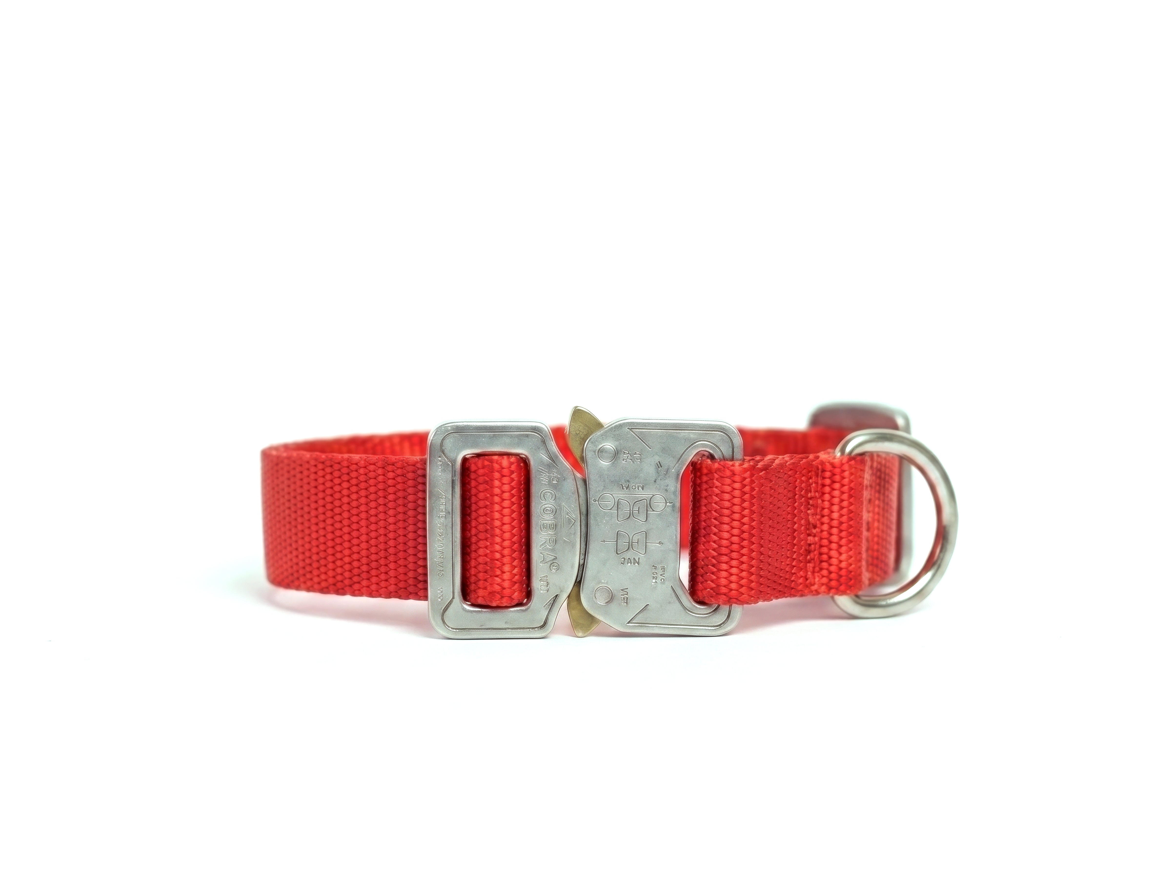 Scout Collar