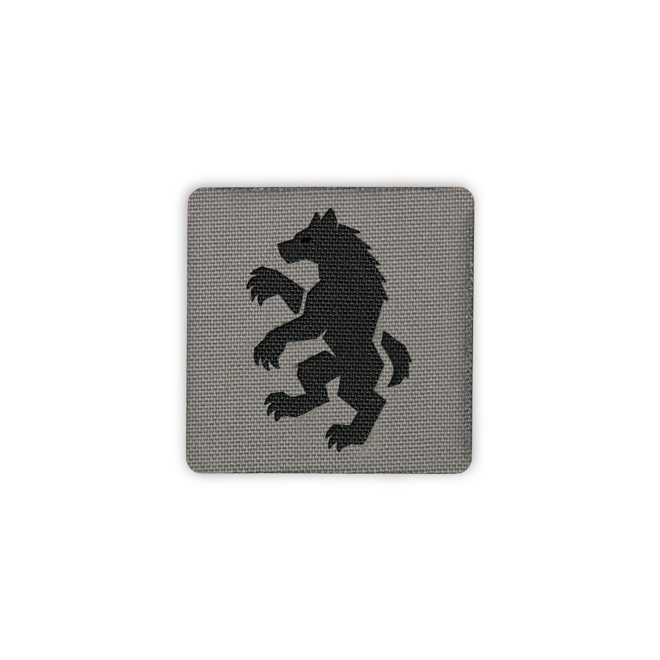 Heraldic Hyena 2x2 Cordura Tactical Morale Patch