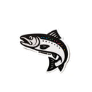 Rainbow Salmon Sticker