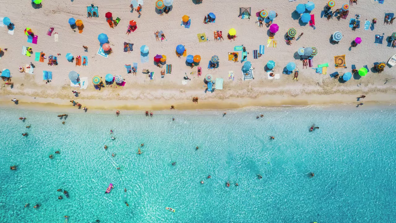 Shark Tactical Patch 2X2