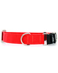 STNDRD Martingale Black and Bright Red