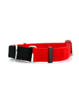 STNDRD Martingale Black and Bright Red