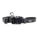 COBRA® Buckle Leash - Alpinhound Pet Co.