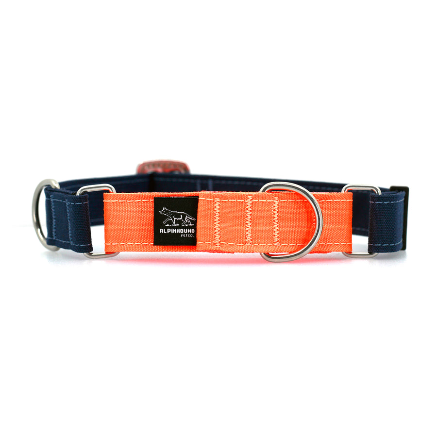 STNDRD Martingale Bright Orange and Navy