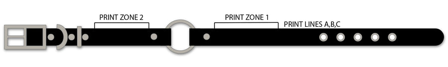 Biothane Collar with Field Safety Ring