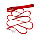 Leash with Stainless Steel Snaphook and D-Ring