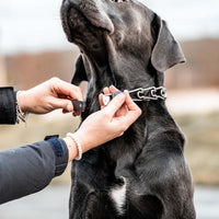 Cierre ClicLock, acero inoxidable – Hebilla para collares de púas