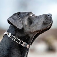 Cierre ClicLock, acero inoxidable – Hebilla para collares de púas