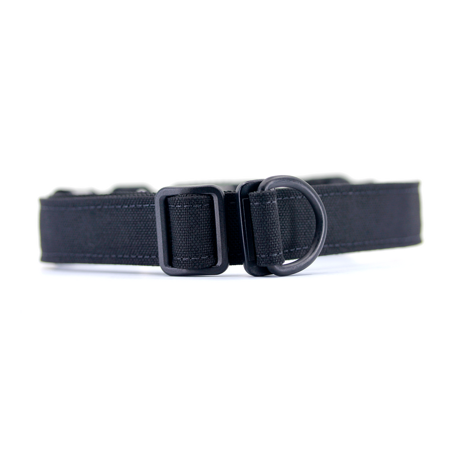 VBuckle Cordura Collar Black