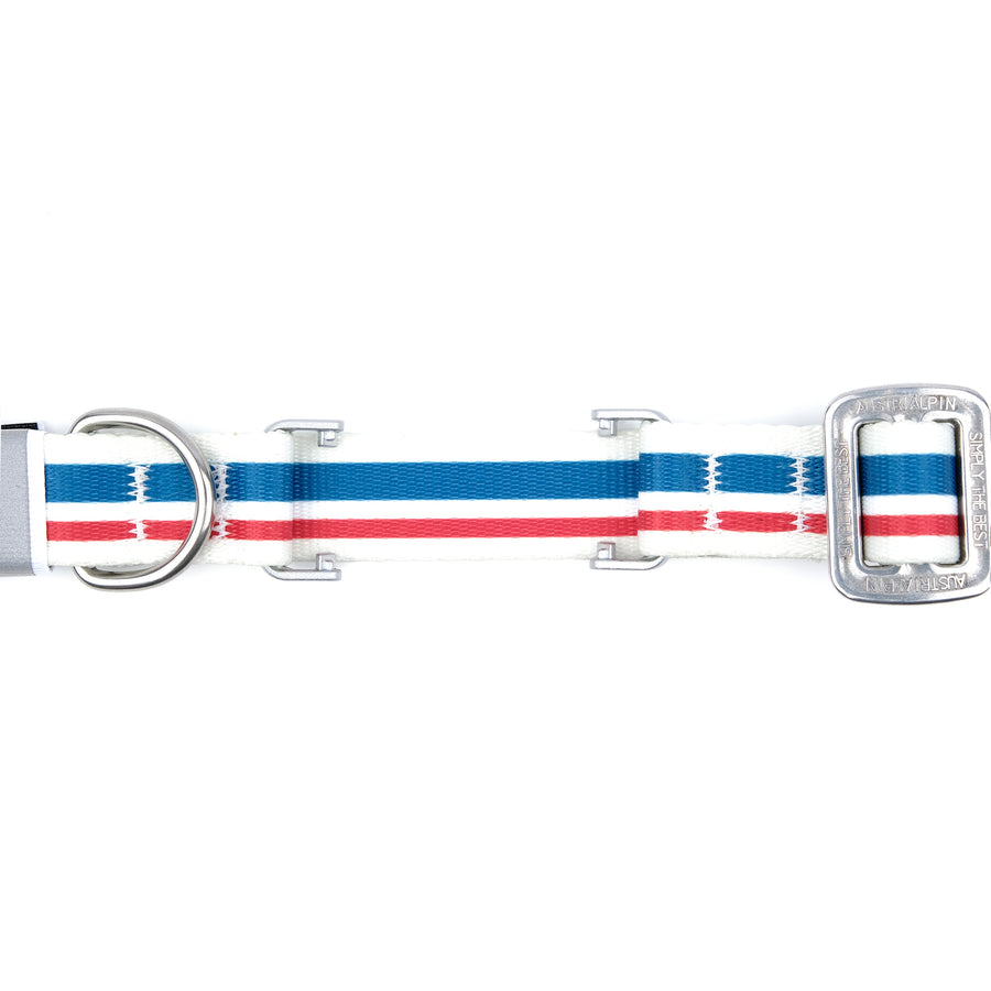 Fi ready COBRA EVO Collar RS3