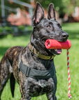 USA-K9 Firecracker Durable Rubber Floating Training Dummy