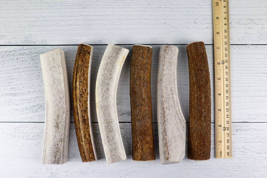 Large Split Deer/Elk Antler Dog Chew