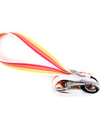 Racing Stripe Leash with Stainless Steel Snaphook and D-Ring