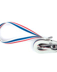 Racing Stripe Leash with Stainless Steel Snaphook and D-Ring