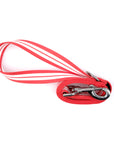 Racing Stripe Leash with Stainless Steel Snaphook and D-Ring