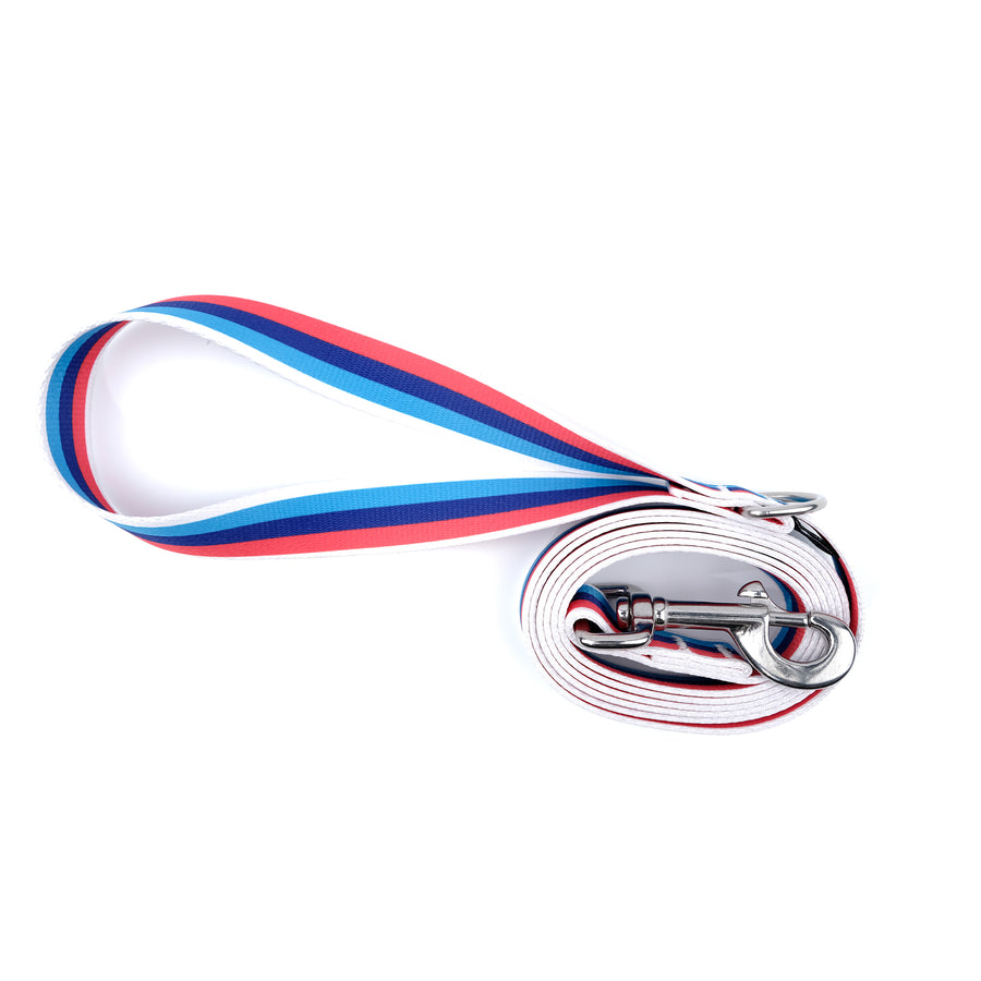 Racing Stripe Leash with Stainless Steel Snaphook and D-Ring