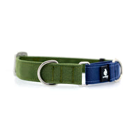 STNDRD Martingale Collar