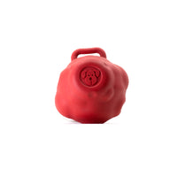 SN Asteroid Ultra Durable Rubber Chew Toy