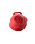 SN Asteroid Ultra Durable Rubber Chew Toy