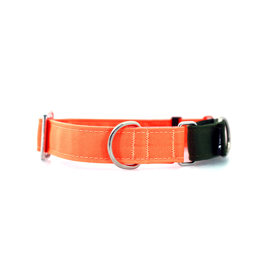 STNDRD Martingale Olive and Bright Orange