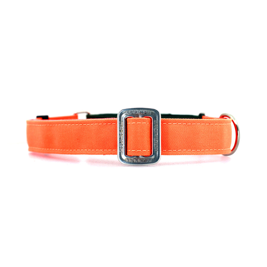 STNDRD Martingale Olive and Bright Orange