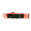 STNDRD Martingale Collar