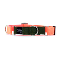 STNDRD Martingale Collar