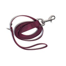 Leash with Stainless Steel Snaphook and D-Ring