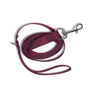 Leash with Stainless Steel Snaphook and D-Ring