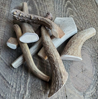 Small Elk/Deer Antler Dog Chew