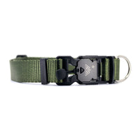 VBuckle Collar