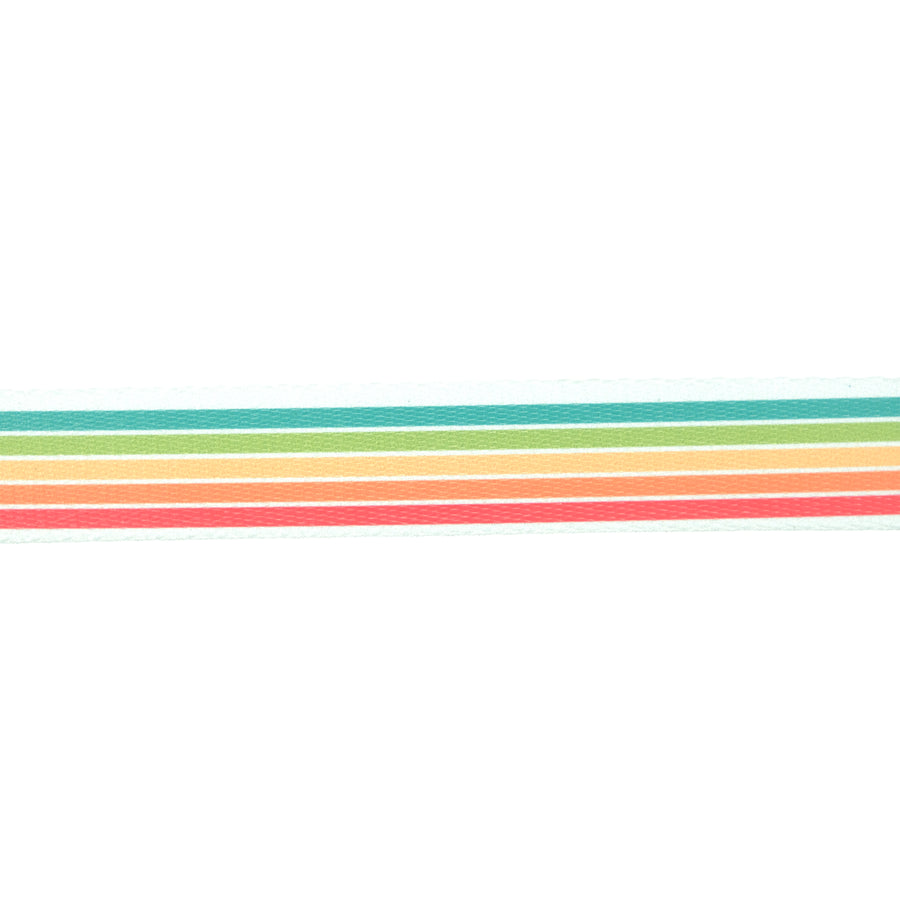COBRA Collar Racing Stripe RS4