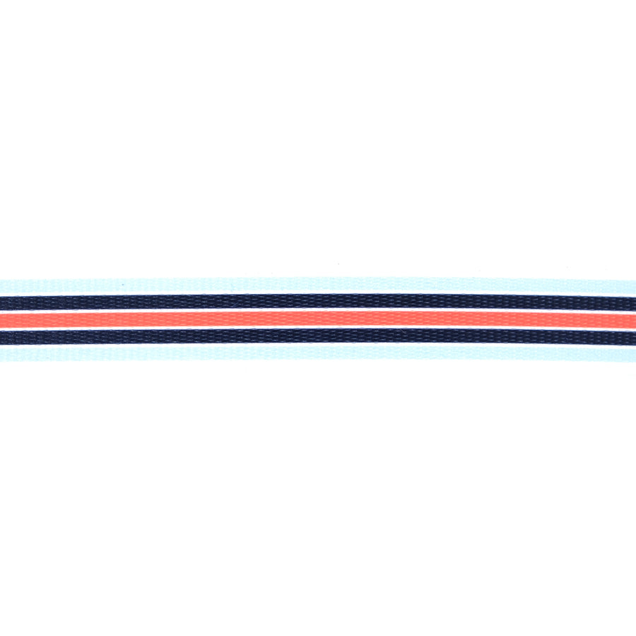 COBRA Collar Racing Stripe RS1