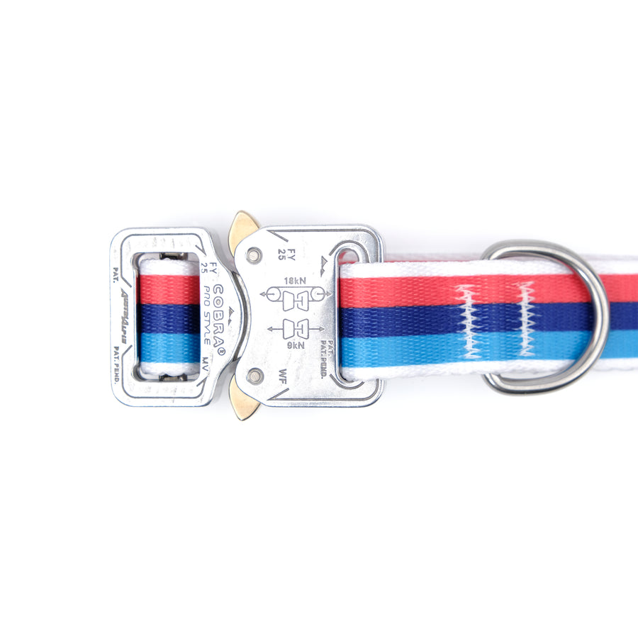 COBRA Collar Racing Stripe RS5