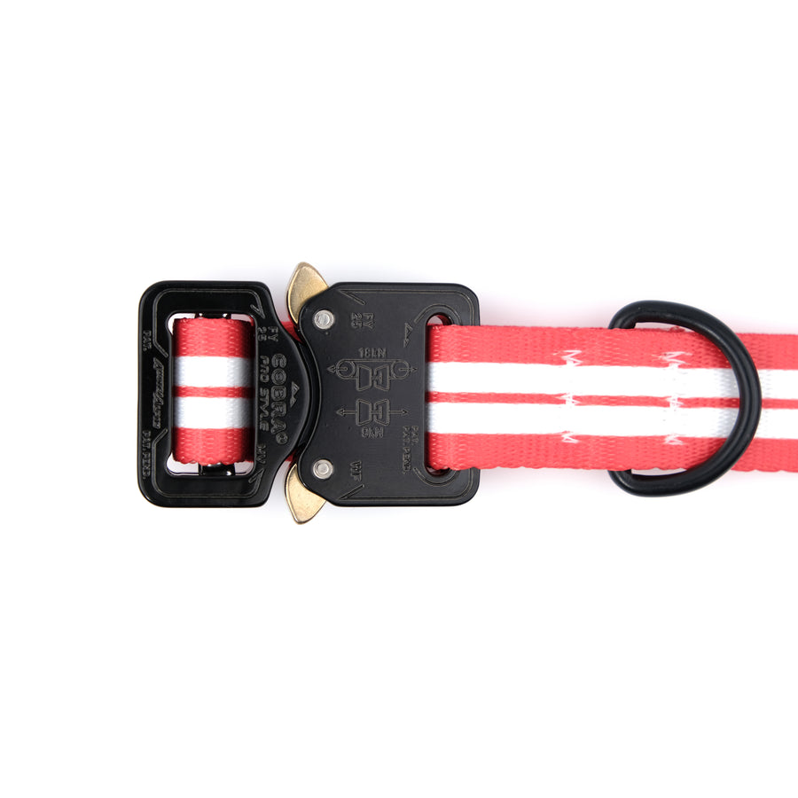 COBRA Collar Racing Stripe RS8